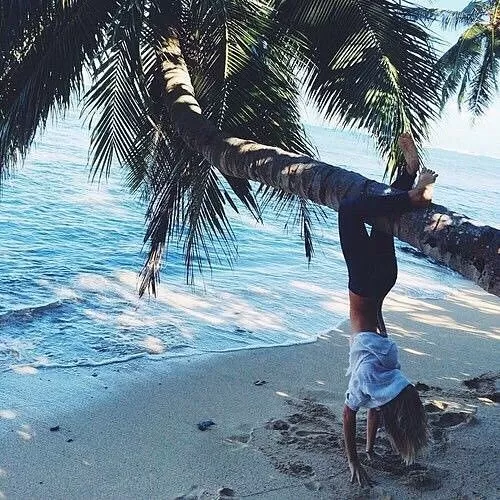 Yusuke Yamadate's Cut School